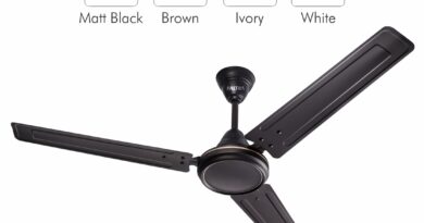 Stay Cool & Stylish: The Ultimate Guide to Choosing the Right Fan for Your Home